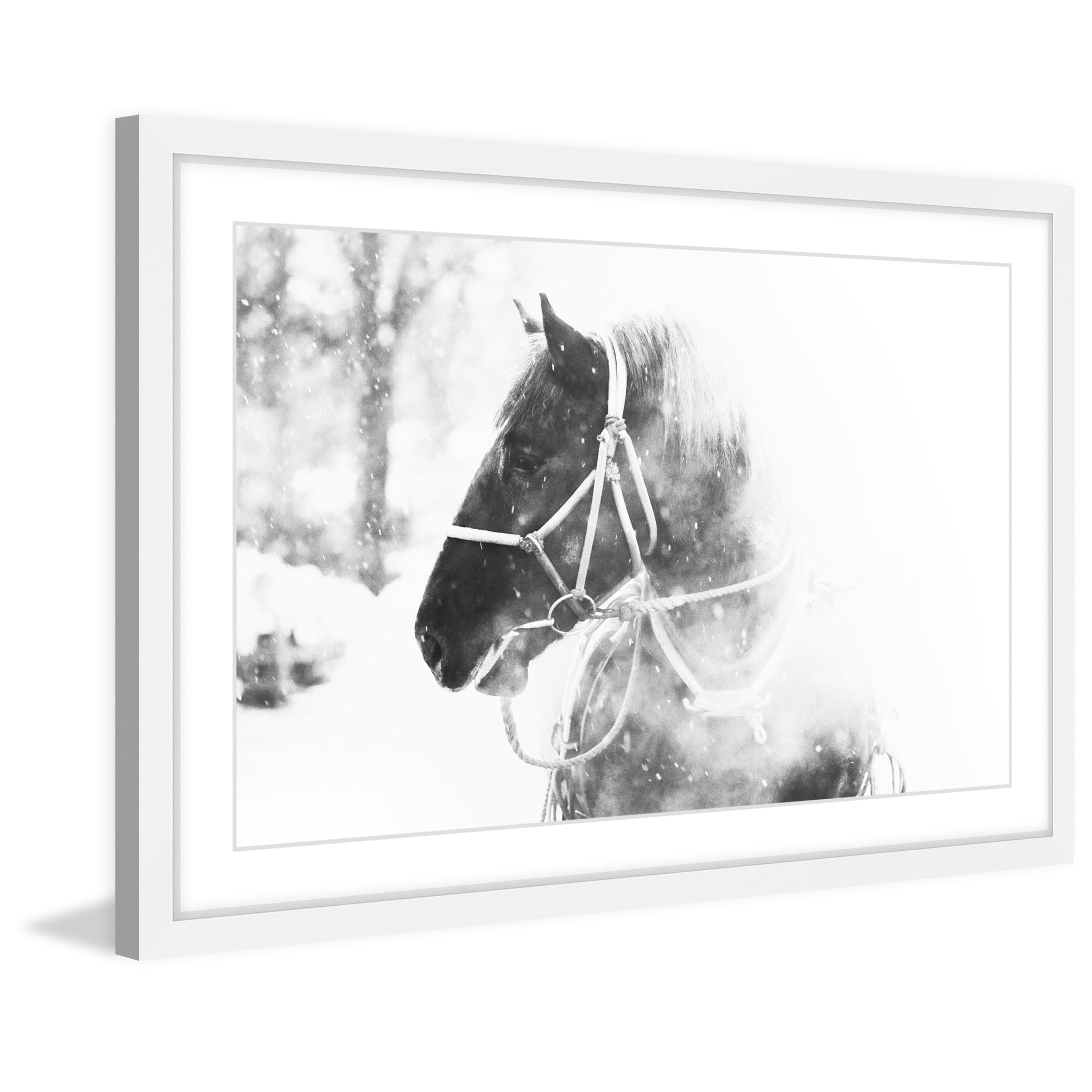 Marmont Hill "Cold Breath" Framed Painting Print