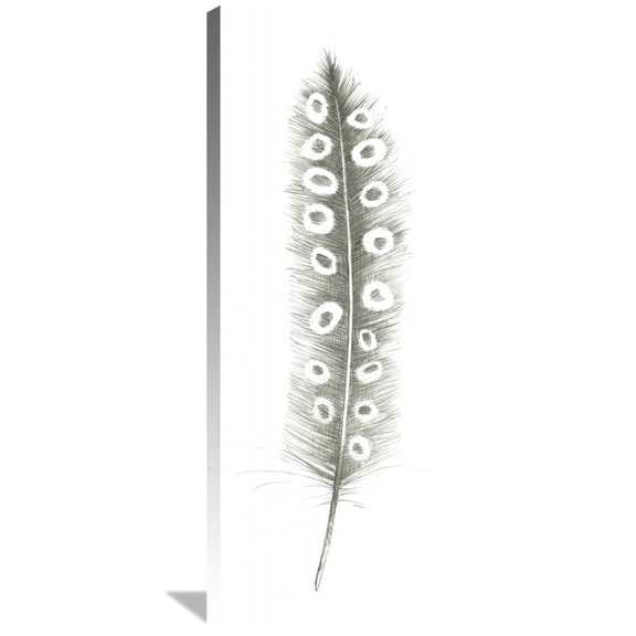 Global Gallery Avery Tillmon 'Feather Sketches VII' Canvas Wall Art