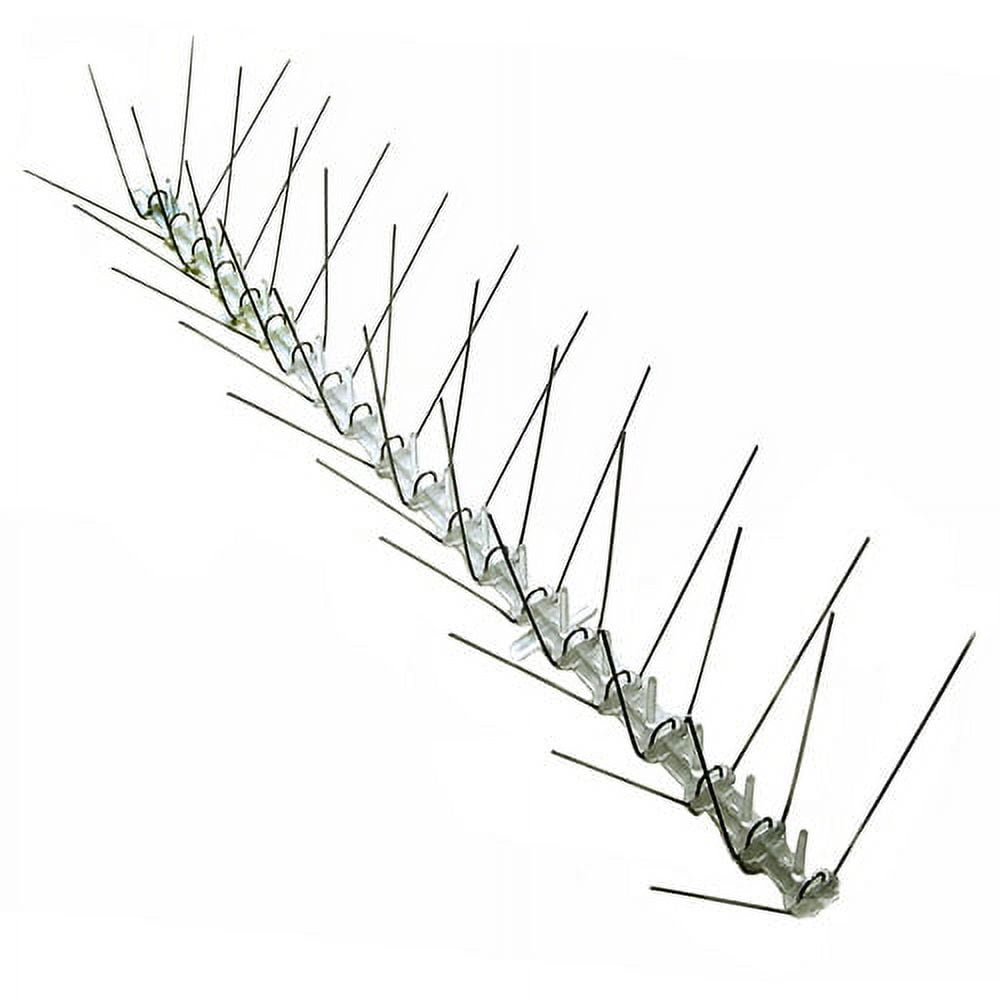 Bird-X Extra Wide Stainless Bird Spikes 10 Feet Coverage 8 Inches Wide Pigeons Starlings Sparrows Seagulls Bird Repellent Control