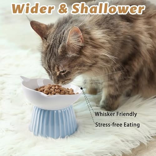 Ceramic Raised Cat Bowl，Tilted Raised Bowl Anti Vomit for Indoor Cats Whisker Friendly Pet Feeder for Cats Puppies, Microwave and Dishwasher Safe (Pink)