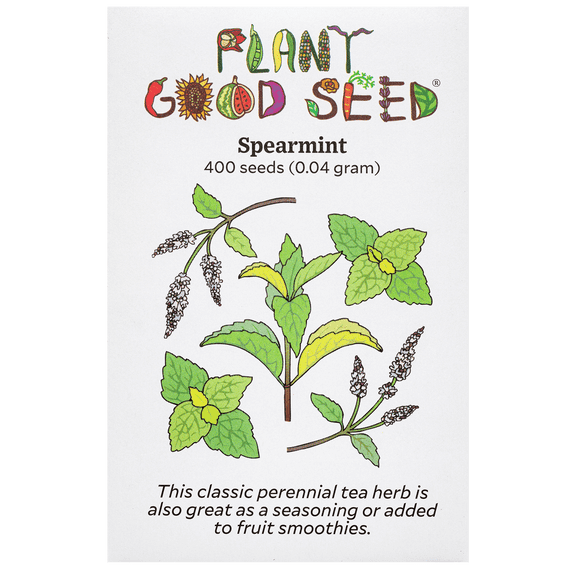 Plant Good Seed Spearmint Seeds for Planting: 400 Count Packet, Fragrant Perennial Tea Herb,