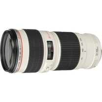 Canon EF 2578A002 70-200mm f/4 USM Lens