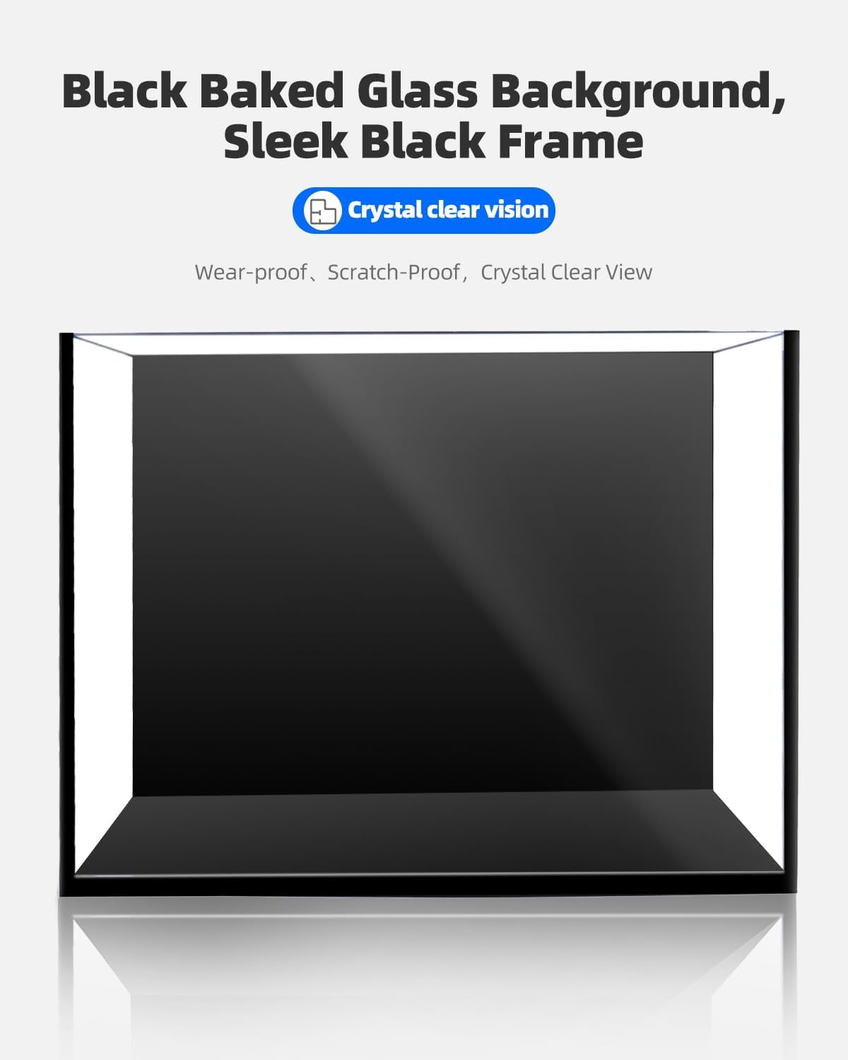 2.5 Gallon Clear Glass Aquarium for Betta Fish, Goldfish, Snails, Shrimp and Live Aquatic Plants