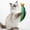 Green, variant on Cat Toys Saury Fish, Cat Chew Ropes Catnip Crinkle Sound, Soft and Durable, Interactive Kitten Kicker for Indoor Kitty Exercise 7.87 Inches for All Breeds