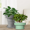 thumbnail image 5 of Outdoor or Indoor Flower Pots with Self-Watering Function, Flower Pots with Drainage Holes and Plates Gray, 5 of 6