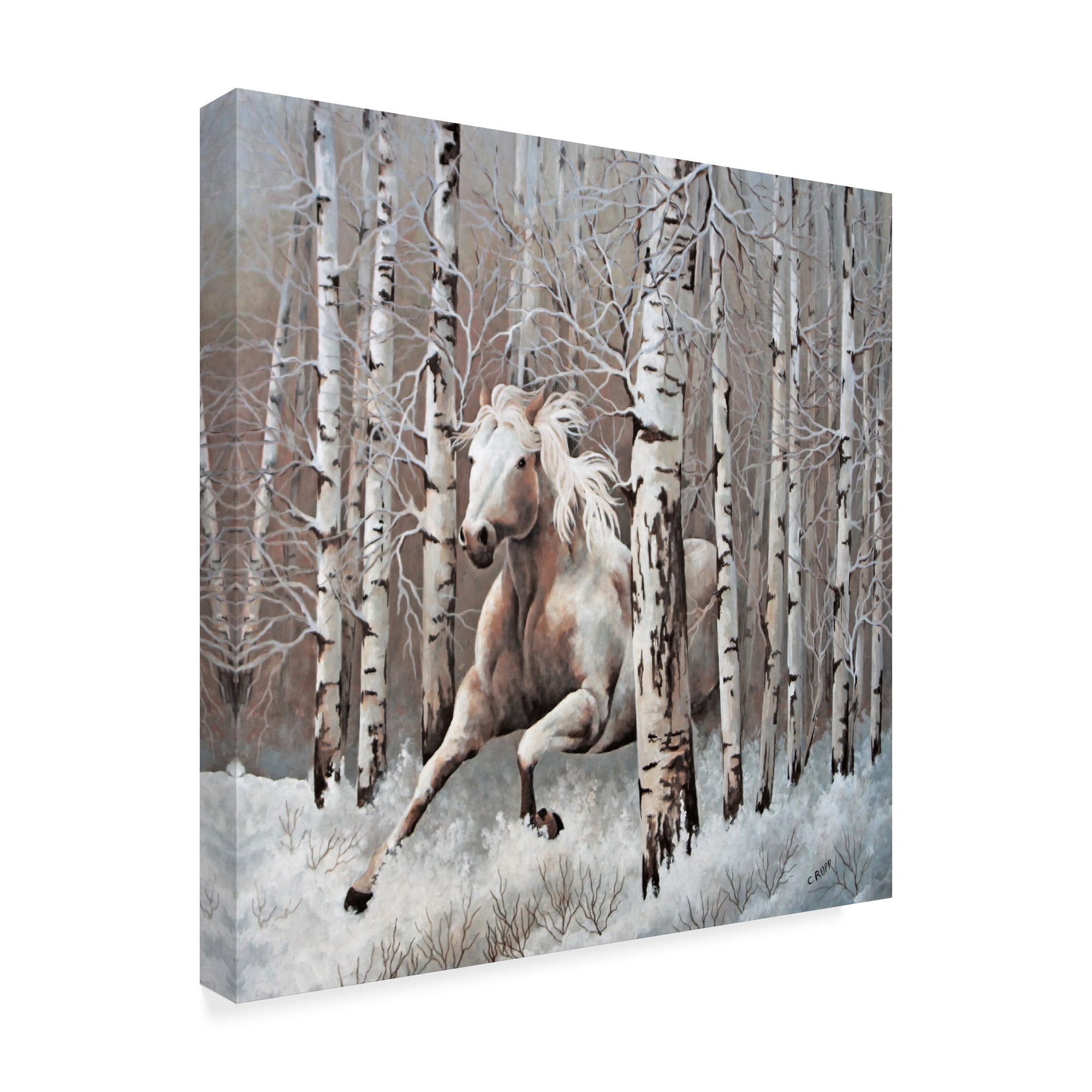 Trademark Fine Art 'Subtle Tones of Nature' Canvas Art by Carol J Rupp