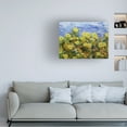 thumbnail image 3 of Allan Friedlander 'Storm Over Summer Garden' Canvas Art, 3 of 3