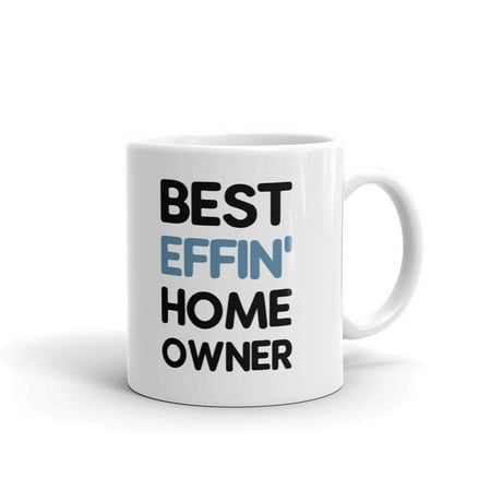 Best Effin Home Owner Big Brother Coffee Tea Ceramic Mug Office Work Cup Gift 11 (Best Big 4 To Work For)