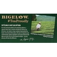 thumbnail image 5 of Pack of 2 - Bigelow Green Tea with Elderberry Vitamin C Tea Bags 18 ct, 5 of 5