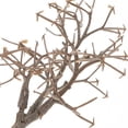 thumbnail image 2 of Shisuyan 10PCS Model Tree Trunks for Train Landscape Scenery Realistic Architecture Model Trees for Crafts for Home or Office Display Educational, 2 of 8