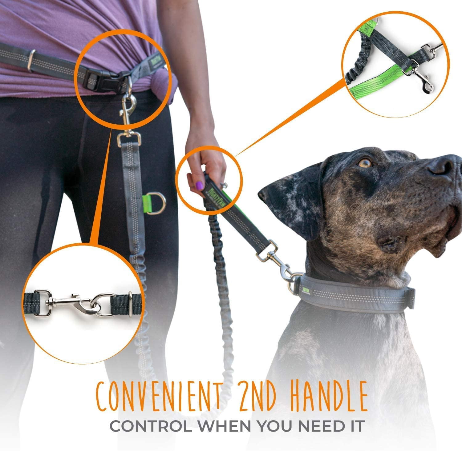 (2 pack) Mighty Paw Hands Free Dog Leash, Premium Running Dog Leash, Lightweight Reflective Bungee Dog Leash (Grey/Lime - 36 inch Bungee)