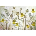 thumbnail image 2 of Disher, Mandy 18x13 White Modern Wood Framed Museum Art Print Titled - Poppies And Helenium, 2 of 4