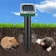 thumbnail image 1 of Repelente de animales solares Control de plagas Repellador de animales al aire libre para Garden Farm 4 PCS, 1 of 5