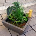 thumbnail image 3 of Aquascape 16 Inch Aquatic Pond Water Garden Planter Kit with Bamboo Fountain, 3 of 5