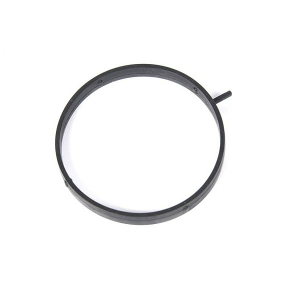GM Genuine Parts Throttle Body Seal