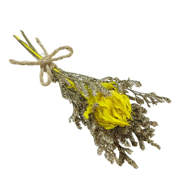 Toystoory Mini ramo de flores secas 10X, artesanía DIY, decoración de boda, mano de obra fina exquisita, decoración de tarjeta de regalo dulce atractiva Artesanía N17 Toystoory HA084418-04