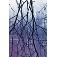 thumbnail image 2 of Hausenflock, Alan 13x18 Black Ornate Wood Framed with Double Matting Museum Art Print Titled - Droplets II, 2 of 4