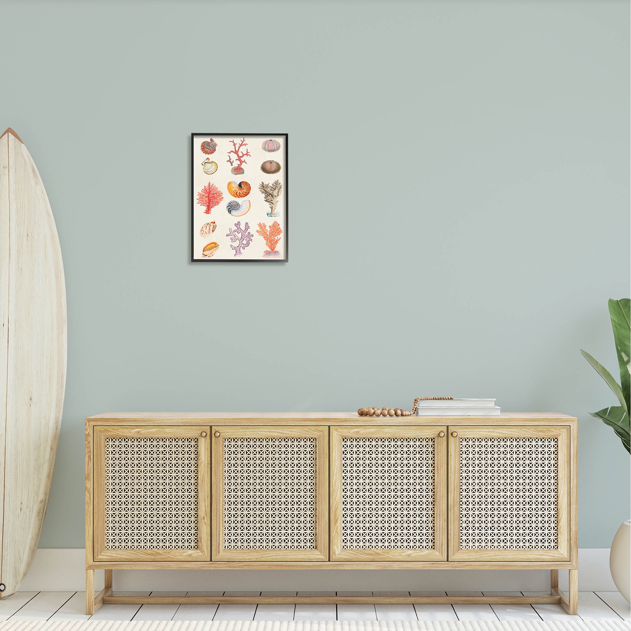 Stupell Industries Various Sea Life Nautical Latin Study Graphic Art Black Framed Art Print Wall Art, Design by Vision Studio