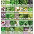 thumbnail image 3 of Ultimate Survival Seed Kit: 140 Varieties for Self-Sufficient Gardens  Food Storage, 3 of 6