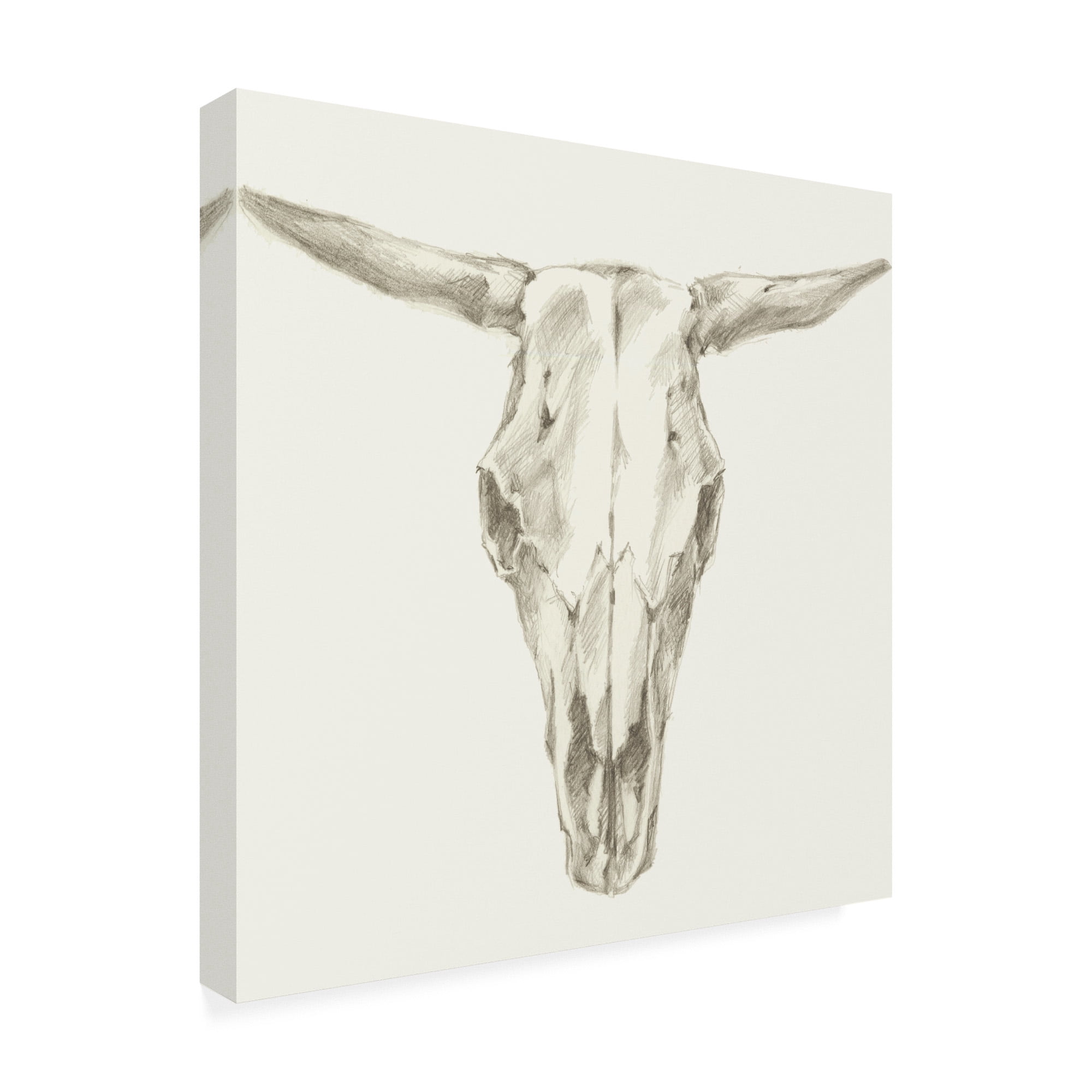 Western Skull Mount II' Canvas Art by Ethan Harper