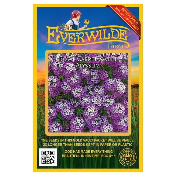 Everwilde Farms - 2000 Royal Carpet Sweet Alyssum Garden Flower Seeds - Gold Vault Jumbo Bulk Seed Packet