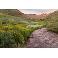 thumbnail image 2 of Jaynes Gallery 18x13 Gold Ornate Wood Framed with Double Matting Museum Art Print Titled - USA-Colorado Mountain landscape with wildflowers and stream, 2 of 4
