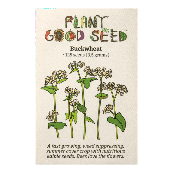 Plant Good Seed Buckwheat Seeds for Planting: Annual Full Sun Summer Cover Crop, 125 Seed Packet