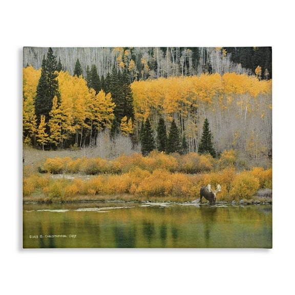 Stupell Industries Moose at Priest Lake Landscape & Nature Photography Wrapped Canvas Art Print Wall Art, 20 x 16