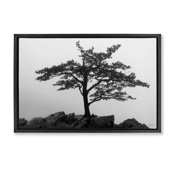 Stupell Industries Southwestern Black Floating Frame Canvas Art, 25 x 17, by Lori Deiter