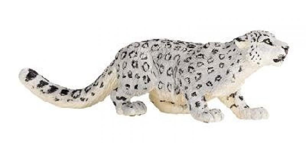 latest version of safari for mac snow leopard