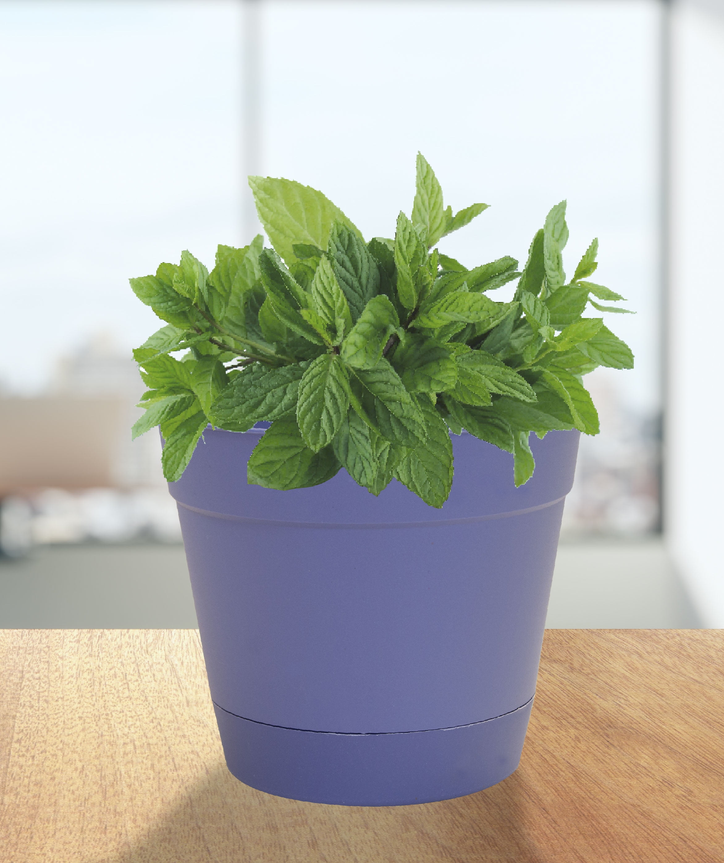 Misco Home Garden 10" Basic Planter