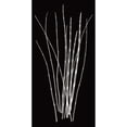 thumbnail image 3 of Wehtje, Jim 14x24 Black Modern Framed Museum Art Print Titled - Three Rushes, 3 of 5
