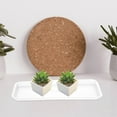 thumbnail image 4 of CIMAXIC 5Ud De Plástico Para Plantas Para Con Rectangular Y Superficie Lisa, 4 of 8