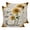 Gray, variant on Pillow Covers 20x20 Set of 2, Sunflowers Square Throw Pillow Covers for Couch/Sofa/Living Room, Spring Summer Bees Yellow Floral Grey Decorative Soft Pillowcases for Couch Throw Pillows