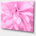 thumbnail image 2 of Fleurs Roses Abstraites avec Pétales - Impression sur Toile Florale, 2 of 3