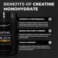 thumbnail image 2 of Peacock Max Creatine Monohydrate Powder, 500g - Unflavored Creatine Powder for Muscle Support, Gluten-Free, Non-GMO, 5g/ Serving, 2 of 9