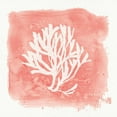 thumbnail image 2 of Audit, Lisa 20x20 White Modern Wood Framed Museum Art Print Titled - Water Coral Cove III, 2 of 4