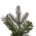 thumbnail image 5 of Vickerman K224736 36 in. Frosted Douglas Fir 450 Tips Wreath, Green, 5 of 5