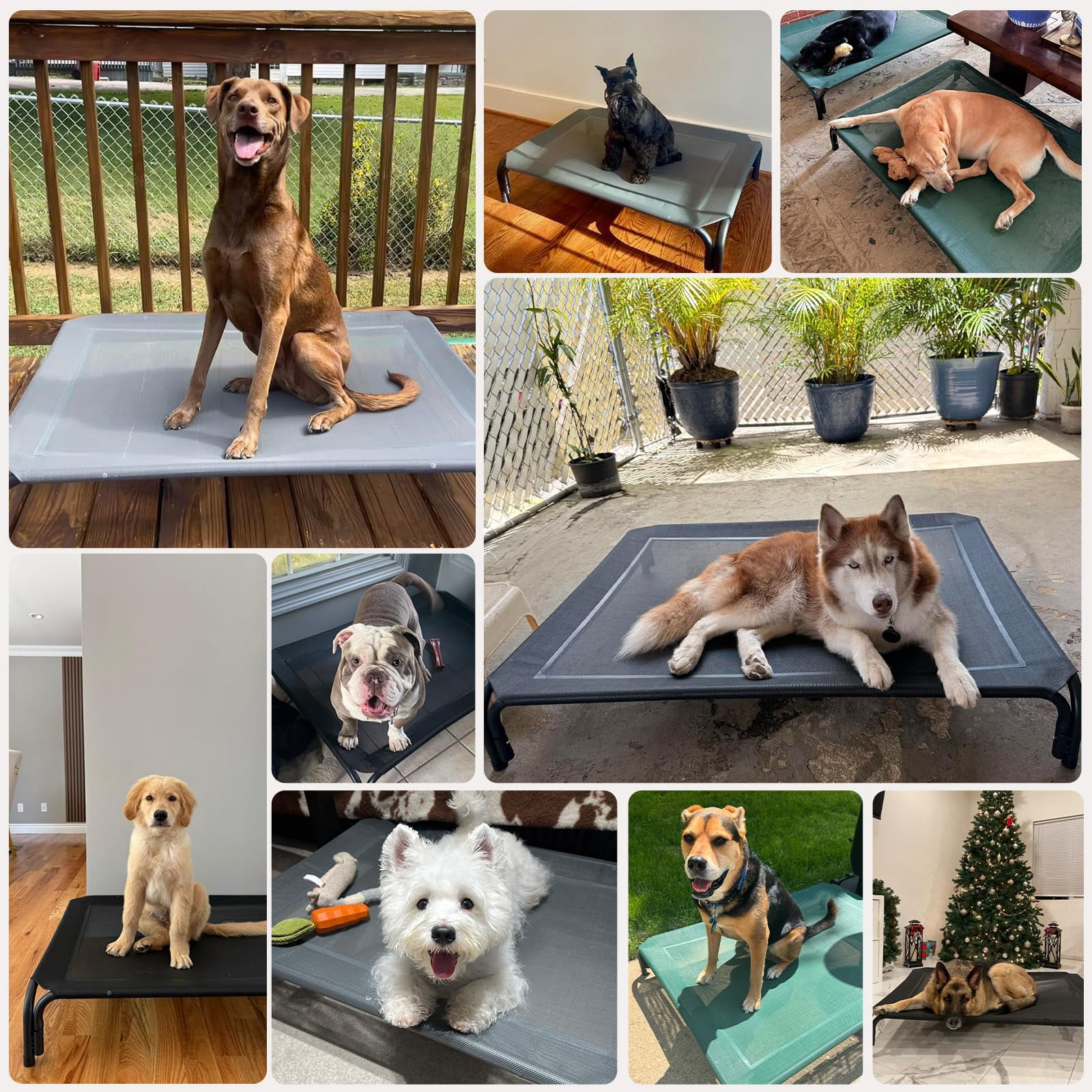 Elevated Dog Bed Raised Outdoor For Medium Dogs  Installation Requires No Tools Frame With Washable Breathable Mesh Anti-slip Feet Indoor Pet Grey 35.4 Inches