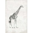 thumbnail image 2 of OnRei 17x24 White Modern Wood Framed Museum Art Print Titled - GIRAFFE, 2 of 4