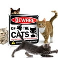 thumbnail image 2 of Bigtime Signs Beware of Cats Sign - Funny Gag Gift - Indoor/Outdoor Use - Cat Lovers Decor, 2 of 8