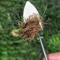 thumbnail image 3 of Manual Weed Remover Tool 2025 New 3 Tooth Steel Metal Material Garden Backyard Farm Uprooting, 3 of 3