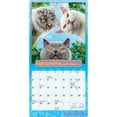 thumbnail image 4 of Avanti Chatons grognons OFFICIAL | 2026 7x14" (Hanging) Mini Wall Calendar, 4 of 9