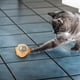 thumbnail image 4 of Juguete giratorio de bolas de catnip con nueces para la limpieza de dientes, 4 of 4
