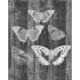 thumbnail image 2 of Goldberger, Jennifer 26x32 Gold Ornate Wood Framed with Double Matting Museum Art Print Titled - Rustic Butterfly Chart II, 2 of 4