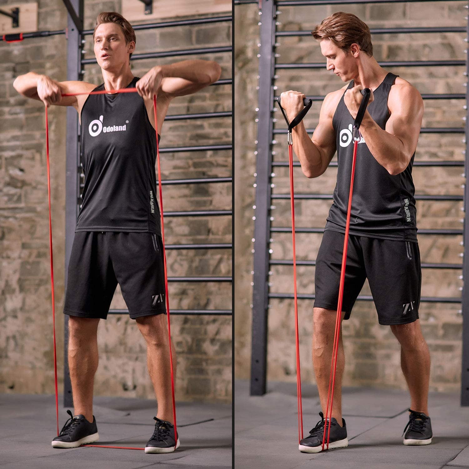 Odoland Packs Pull Up Assist Bands 2025