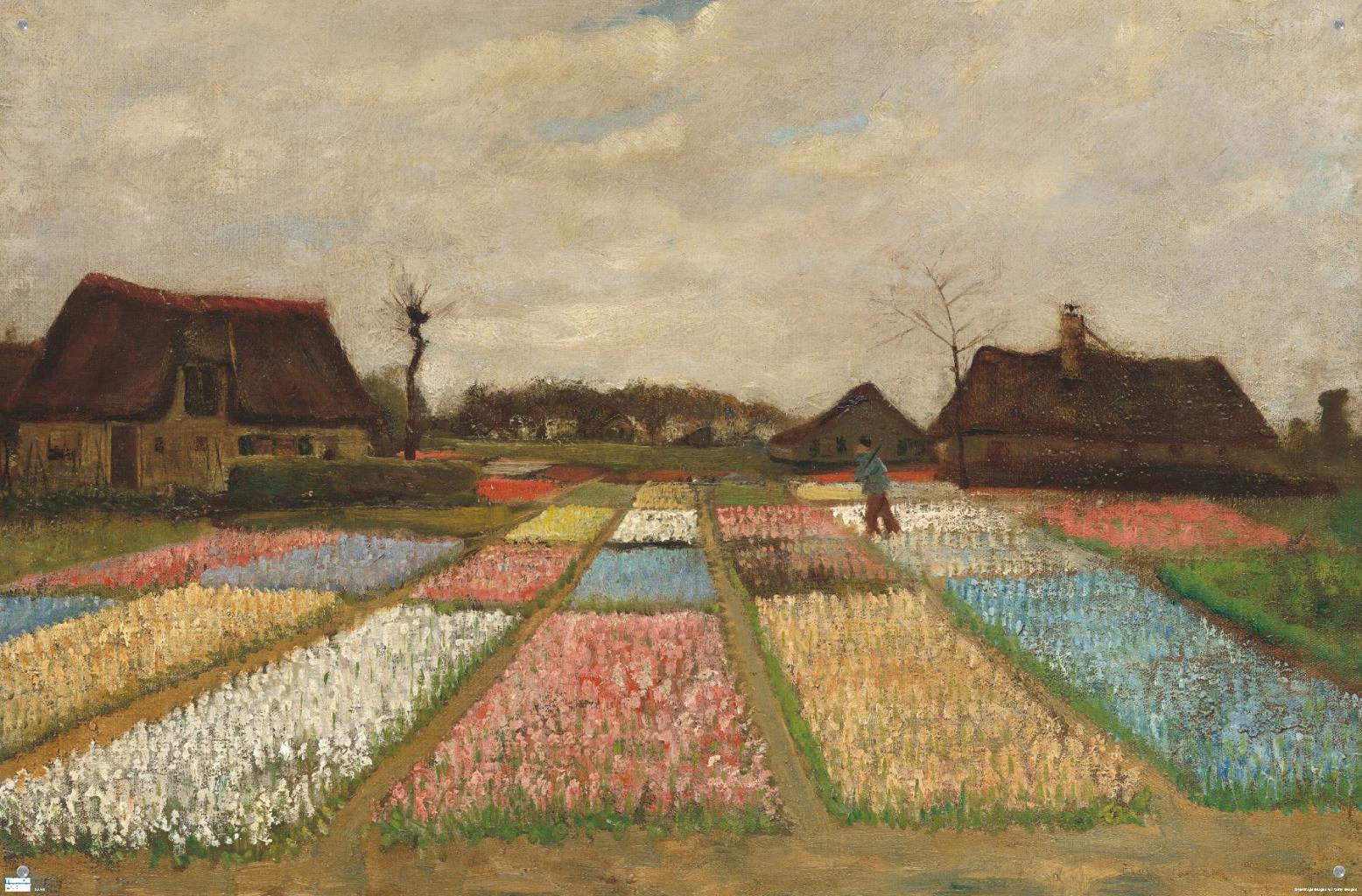 Flower Beds in Holland by Vincent van Gogh Wall Poster with Pushpins, 22.375" x 34"