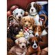 thumbnail image 1 of 5D DIY diamante pintura Animal perro completo cuadrado taladro bordado punto de cruz Kit FLhrweasw Nuevo, 1 of 9