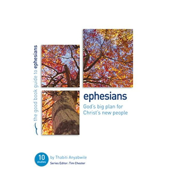 Good Book Guides: Ephesians: God's Big Plan for Christ's New People: 10 Studies for Individuals or Groups (Paperback)