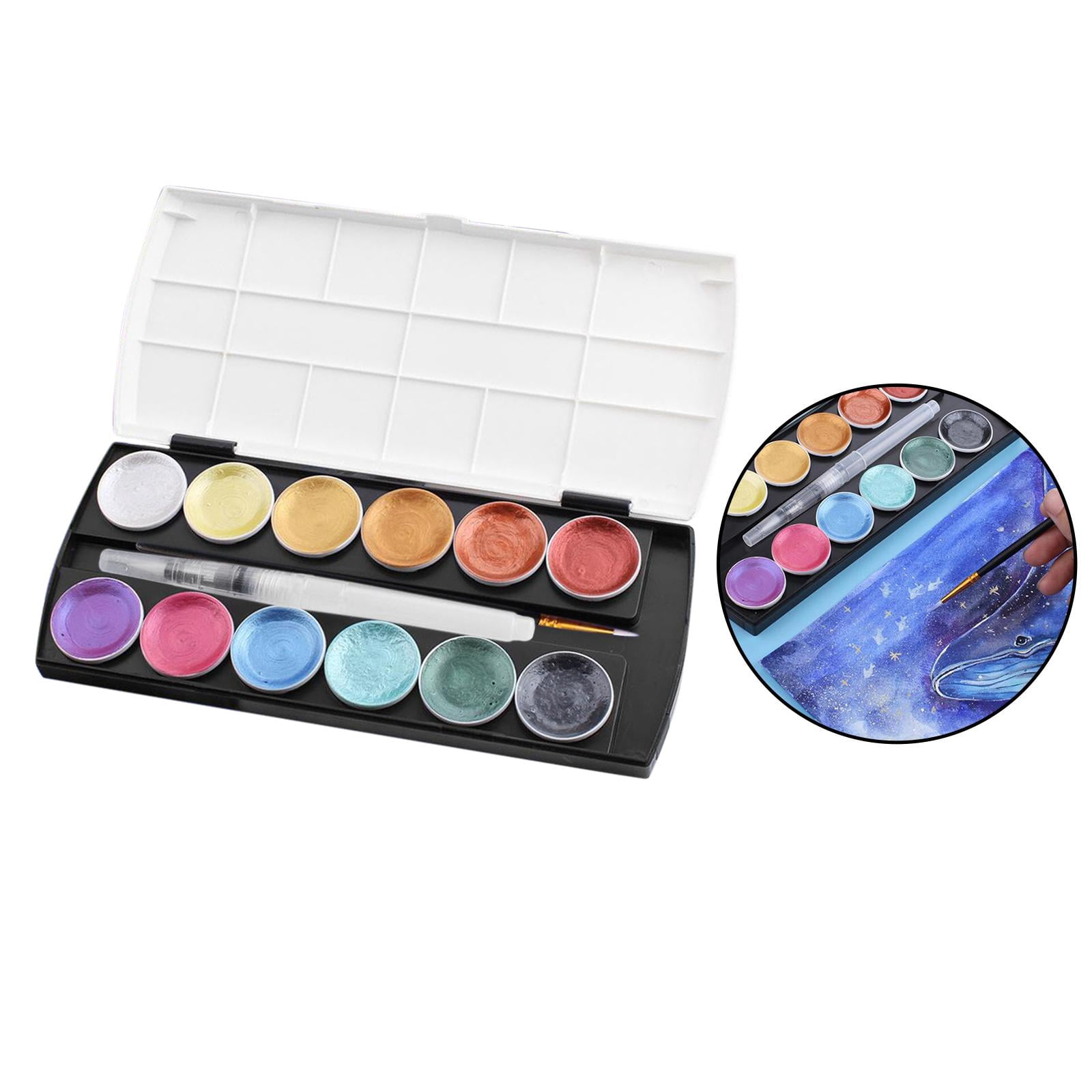 FVDPWYE Professional Watercolor Set 12 Colors Travel Pocket Paint Kit for Artist